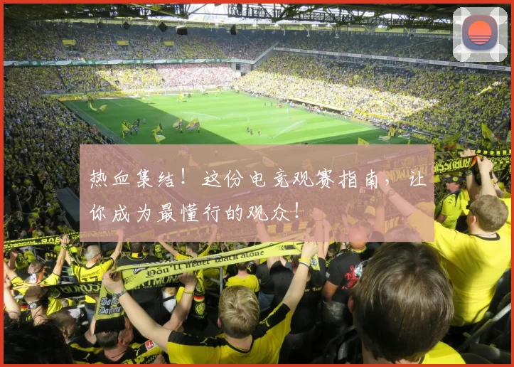 热血集结！这份电竞观赛指南，让你成为最懂行的观众！
